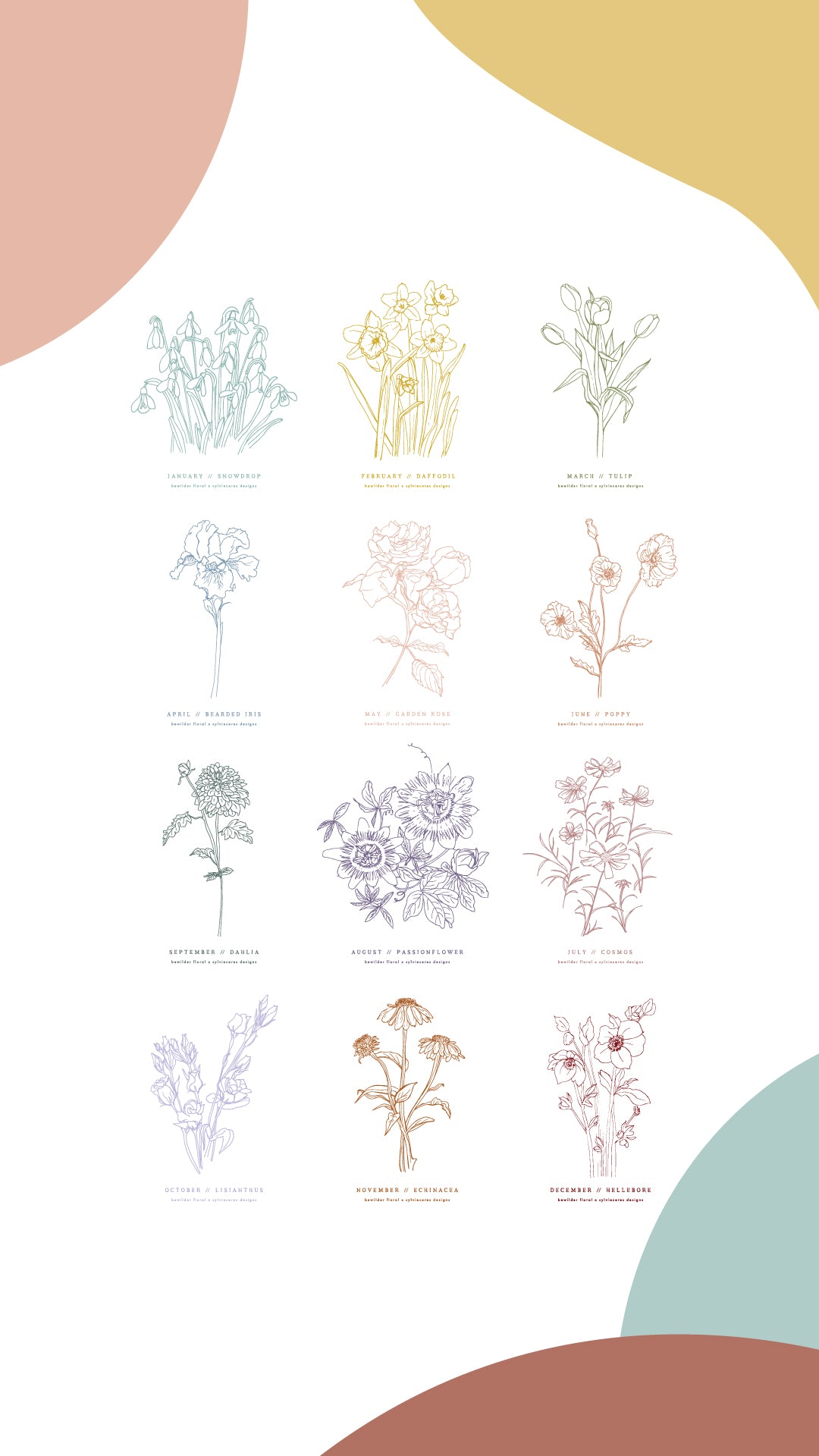 Flower of the Month Print